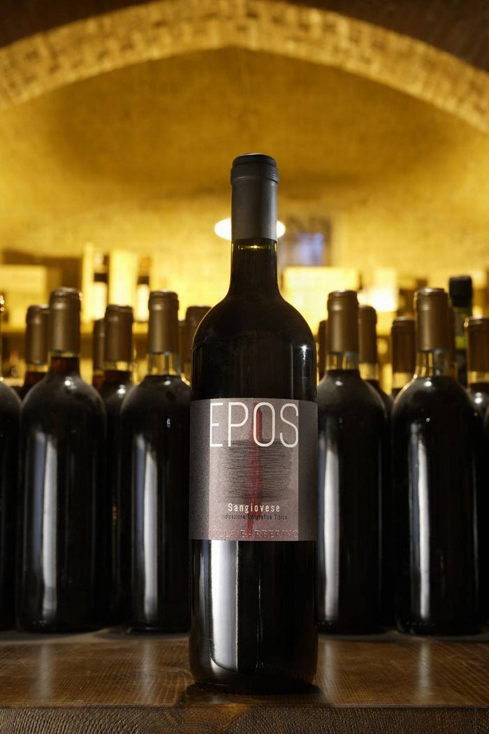 toscana_villa_barberino_cantina_vino_epos